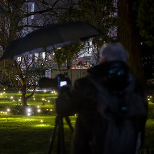 Da li smo mi poslednja generacija koja ih vidi?! Nekad su ih bila puna dvorišta, a sad na ivici da izumru!