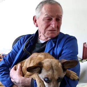 Ivica (74) svojom pričom rasplakao ceo region! Svakodnevno brine o svom bolesnom psu: "Ne želim da ga uspavam"