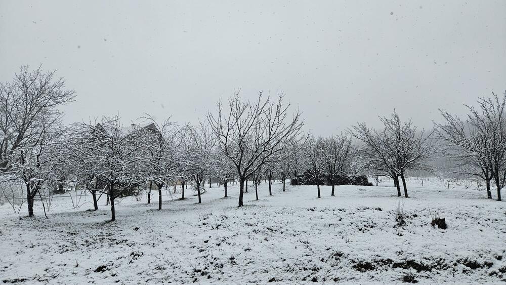 Sneg zavejao ovaj grad u Srbiji kao usred januara: Pada bez prestanka, prava zimska idila, neverovatni prizori