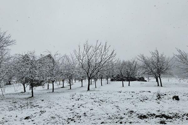 Sneg zavejao ovaj grad u Srbiji kao usred januara: Pada bez prestanka, prava zimska idila, neverovatni prizori
