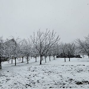 Sneg zavejao ovaj grad u Srbiji kao usred januara: Pada bez prestanka, prava zimska idila, neverovatni prizori