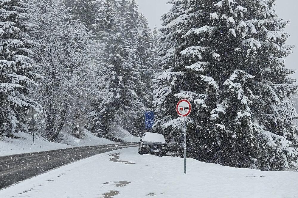 Snežna mećava u ovom delu Srbije - palo čak 10 cm snega: Vejaće ceo dan kao lud, vozači OPREZNO ako idete OVUDA