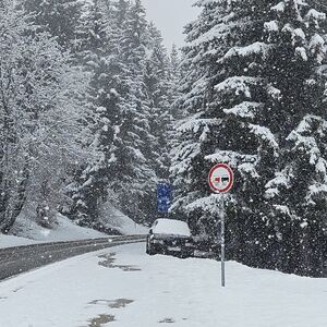 Snežna mećava u ovom delu Srbije - palo čak 10 cm snega: Vejaće ceo dan kao lud, vozači OPREZNO ako idete OVUDA