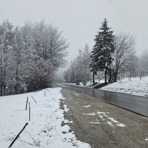 Zbog snega veliki problem na ovoj deonici u Srbiji: Zavejan ceo put, vozila mile (VIDEO)