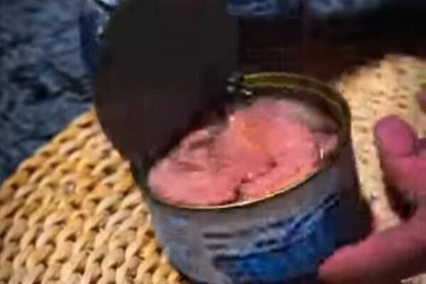 OTVORILI KONZERVE STARE 40 GODINA, A UMESTO POKVARENE RIBE UNUTRA BILO OVO! Pali u šok zbog prizora