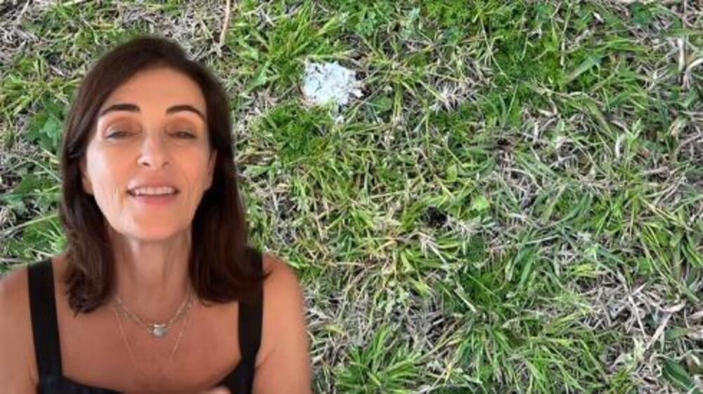 ŠTA SE DESILO SA BELIM PSEĆIM IZMETOM? Veterinarka razbija misteriju, evo zbog čega ga više ne viđamo