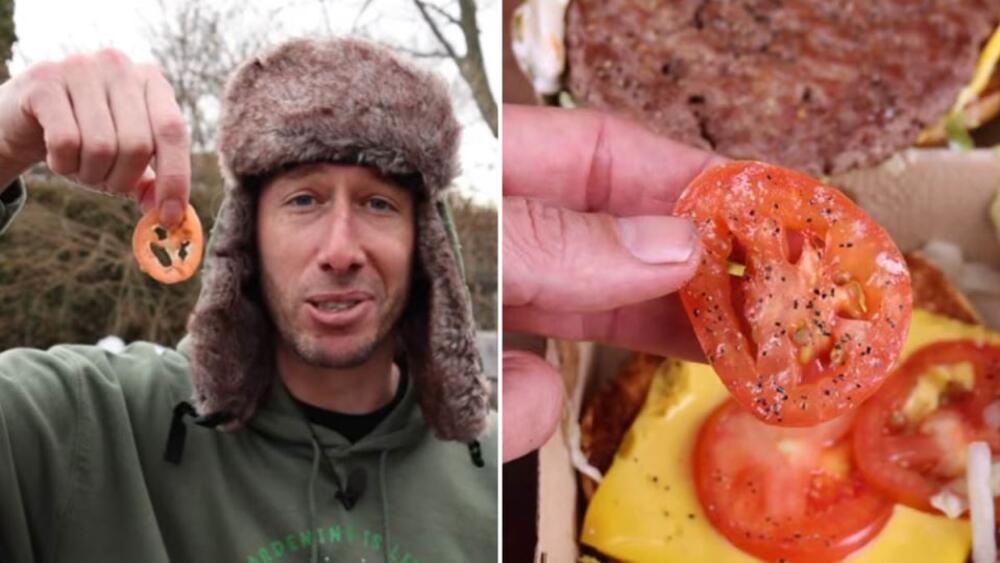 POSADIO SEMENKU PARADAJZA IZ PLJESKAVICE Nije mu bilo dobro kad je video šta je u BAŠTI IZRASLO nakon 3 MESECA