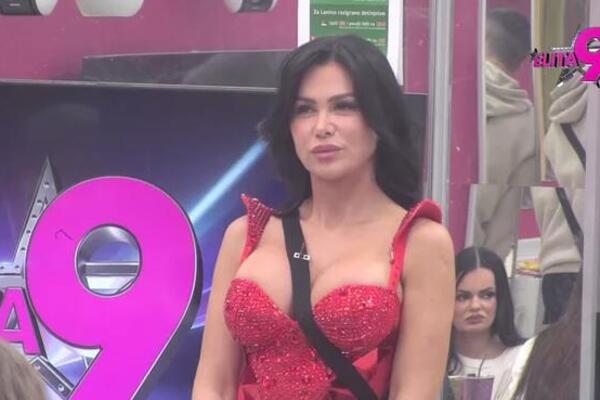 OVO SU SVI DETALJI STANIJINOG UGOVORA SA MITROVIĆIMA! Striktno je tražila JEDNU STVAR - OVAKO ĆE DA OPRAVDA LOVU