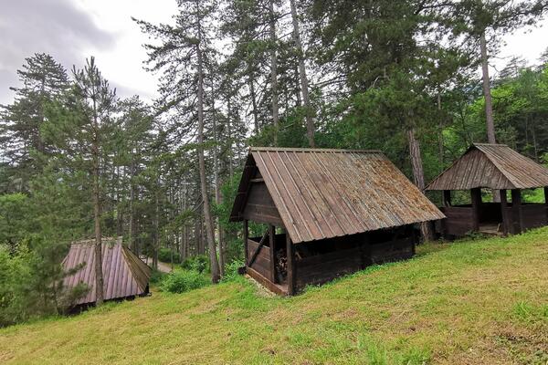 Crkva brvnara u ovom selu odoleva vekovima: Netaknuti biser sakriven u borovoj šumi (FOTO)