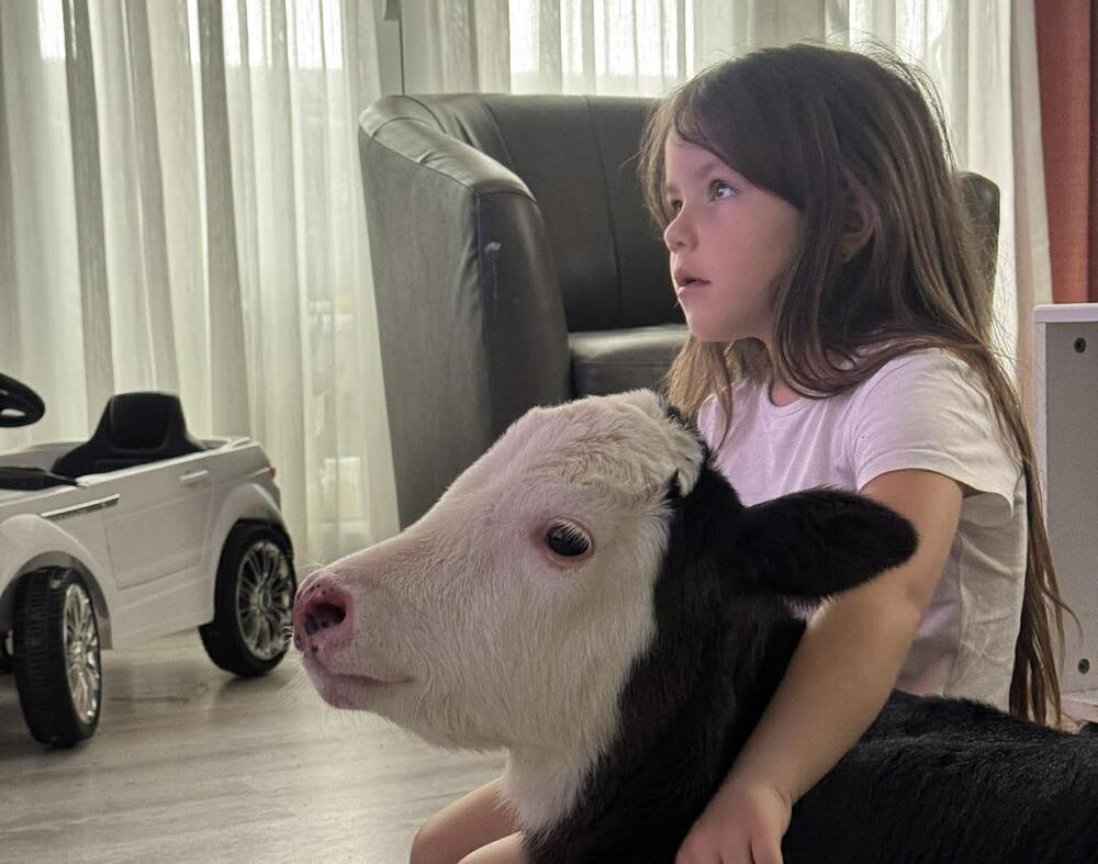 Srpska porodica telence drži kao kućnog ljubimca: Prizori su nestvarni, ono gleda crtane sa decom, ali to nije sve!