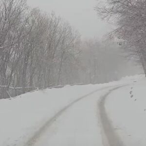 Polarno vreme na jugu Srbije: Ne, nije aprilska šala, snimak vejavice šokirao sve! (VIDEO)