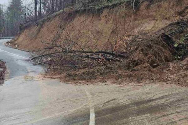 Pokrenuto klizište na ovoj deonici puta u Srbiji: Kiša napravila kolaps, blato i drveće se sručili na kolovoz