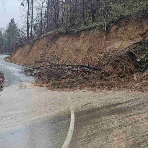 Pokrenuto klizište na ovoj deonici puta u Srbiji: Kiša napravila kolaps, blato i drveće se sručili na kolovoz