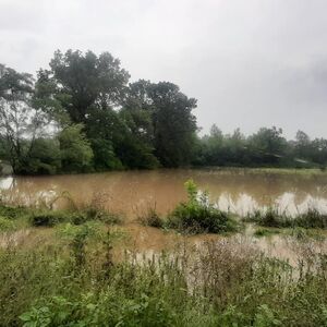 Žutaja se izlila u ovom selu! Alarmantno stanje i u Čačku