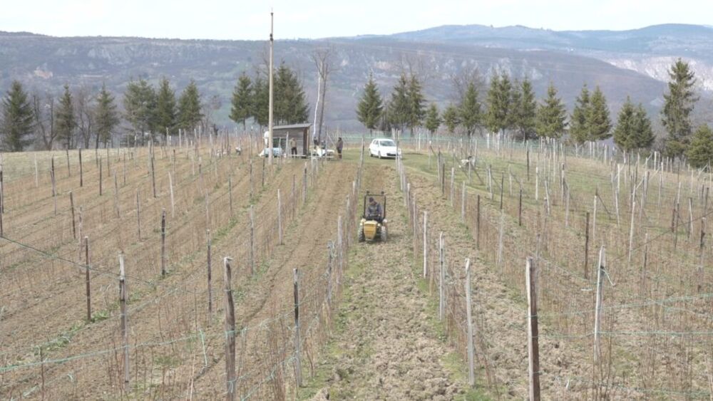 Rad u malinjacima već počeo