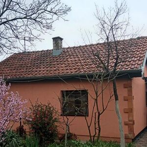 Prodaje se jako lepa kuća sa voćnjakom u blizini Beograda: Ovakva cena može samo da se poželi (FOTO)