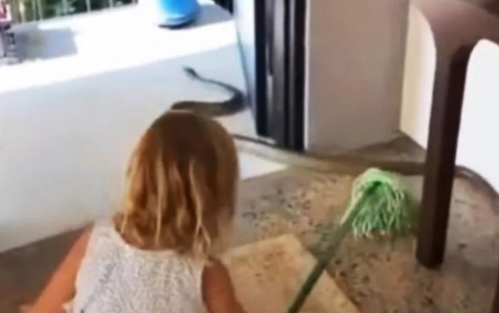 Devojčica isterala OPASNOG GMIZAVCA iz kuće: Prizor šokirao sve! "Kad te tata nauči..." (VIDEO)