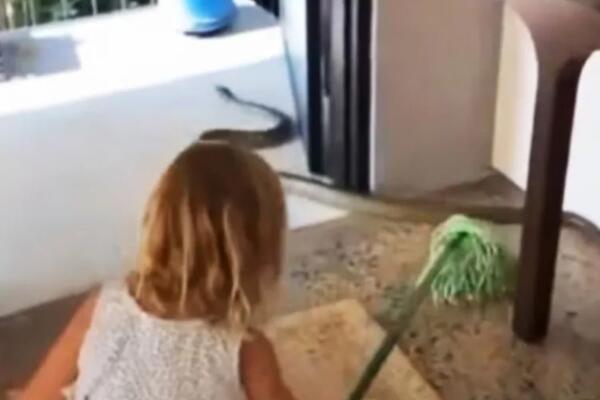 Devojčica isterala OPASNOG GMIZAVCA iz kuće: Prizor šokirao sve! "Kad te tata nauči..." (VIDEO)