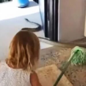 Devojčica isterala OPASNOG GMIZAVCA iz kuće: Prizor šokirao sve! "Kad te tata nauči..." (VIDEO)