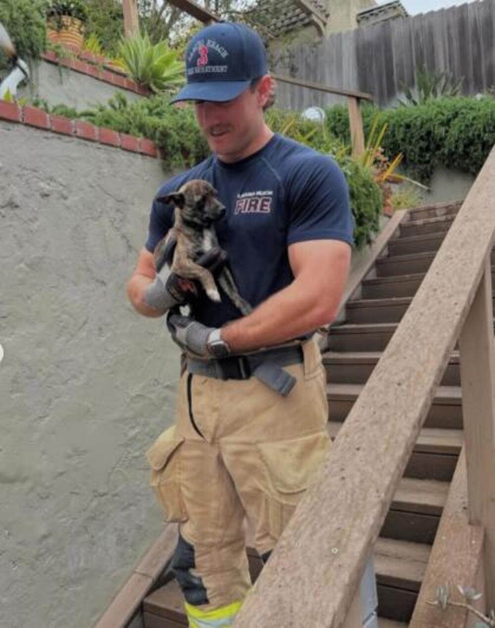 "DOĐI, MOJA MAČKA JE..." Žene masovno odlepile za vrelim vatrgascem, bez dlake na jeziku komentarišu ovaj detalj!