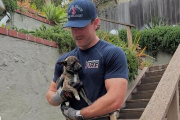 "DOĐI, MOJA MAČKA JE..." Žene masovno odlepile za vrelim vatrogascem, bez dlake na jeziku komentarišu ovaj detalj!