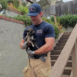 "DOĐI, MOJA MAČKA JE..." Žene masovno odlepile za vrelim vatrgascem, bez dlake na jeziku komentarišu ovaj detalj!