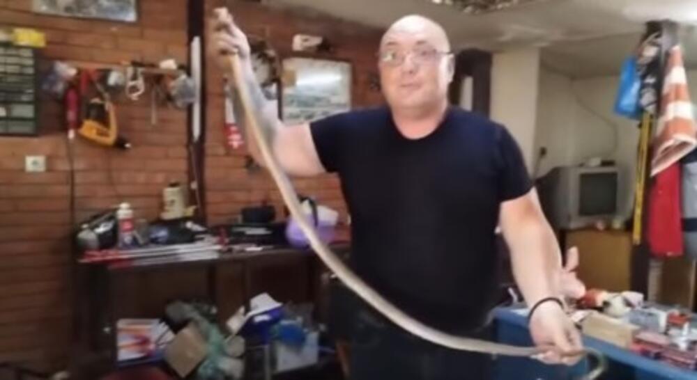Domaćica pobegla od straha kada je videla GRDOSIJU: Vladica rešio problem za tili čas, pogledajte ZMIJURINU (VIDEO)