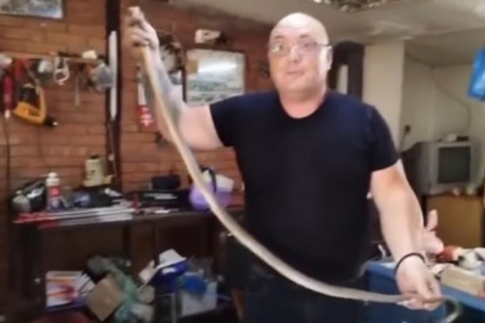 Domaćica pobegla od straha kada je videla GRDOSIJU: Vladica rešio problem za tili čas, pogledajte ZMIJURINU (VIDEO)