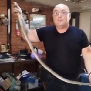 Domaćica pobegla od straha kada je videla GRDOSIJU: Vladica rešio problem za tili čas, pogledajte ZMIJURINU (VIDEO)