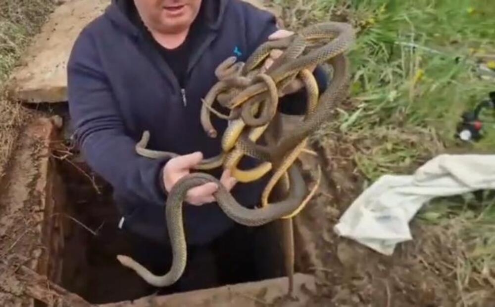 Vladica otvorio šaht, a tamo pravi pravcati horor: Sledio se u mestu, sve se desilo u Vladičinom Hanu