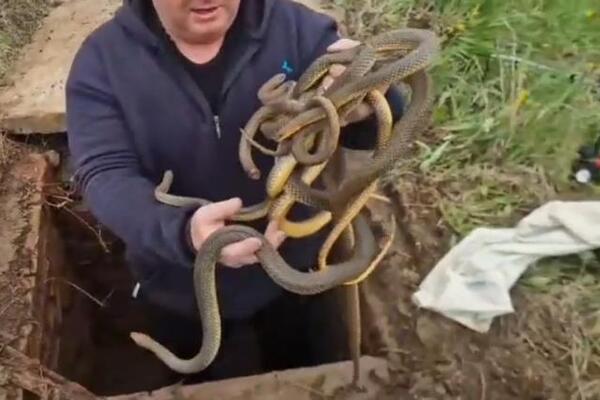 Vladica otvorio šaht, a tamo pravi pravcati horor: Sledio se u mestu, sve se desilo u Vladičinom Hanu