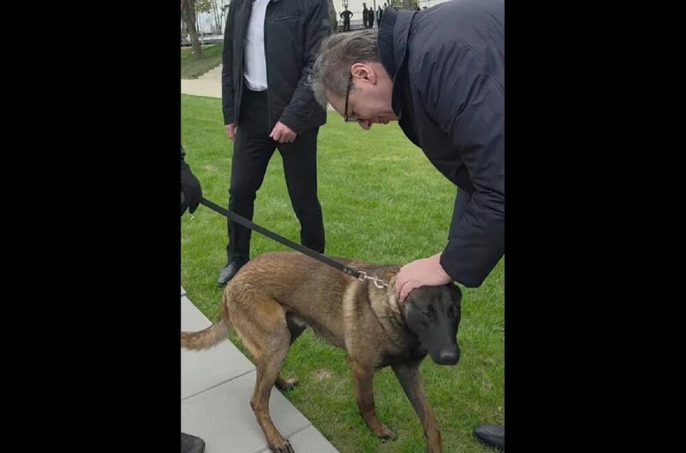 "MILUTIN JE TAKOĐE DOBRA KOBRA, OPASAN, OPAK, ODAN DO KRAJA": Oglasio se predsednik Vučić na Instagramu! (VIDEO)
