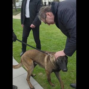 "MILUTIN JE TAKOĐE DOBRA KOBRA, OPASAN, OPAK, ODAN DO KRAJA": Oglasio se predsednik Vučić na Instagramu! (VIDEO)