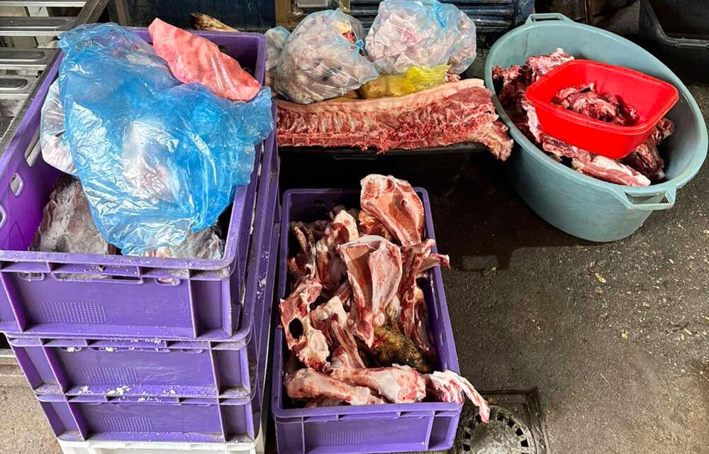 (FOTO SA LICA MESTA) JEZIVO OTKRIĆE U SUBOTICI! Policija upala u ILEGALNU KLANICU: Pronađene čak 2 tone mesa!