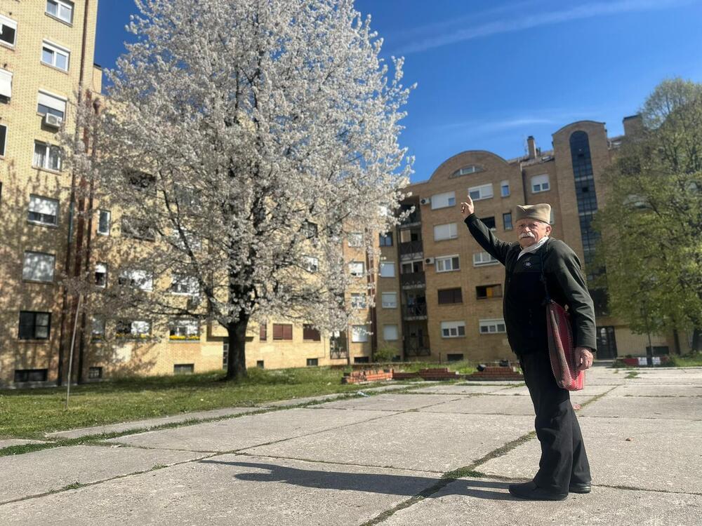 Mirko iz Čačka posadio drvo pre 33 godine: Odužio se prirodi na najlepši način - ponosno stoji ispred gorostasa