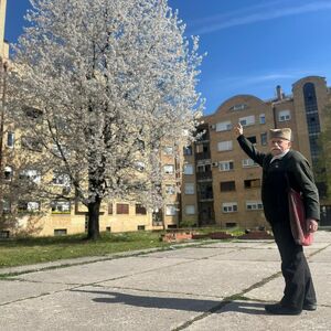 Mirko iz Čačka posadio drvo pre 33 godine: Odužio se prirodi na najlepši način - ponosno stoji ispred gorostasa