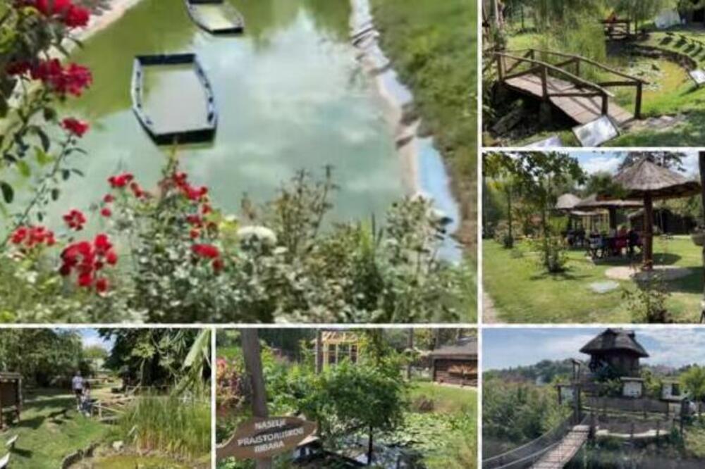 Na 30 minuta od srca Beograda se nalazi ova neobična oaza prirode: Od deponije do prirodnog bisera