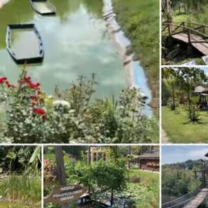 Na 30 minuta od srca Beograda se nalazi ova neobična oaza prirode: Od deponije do prirodnog bisera