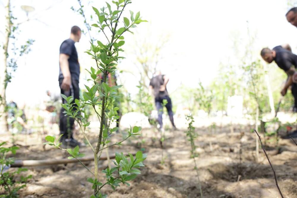 PRVI MIYAWAKI ZASAD U SRBIJI REALIZOVAN U ALEKSANDROVU U OKVIRU PROJEKTA “ZASADI DRVO”