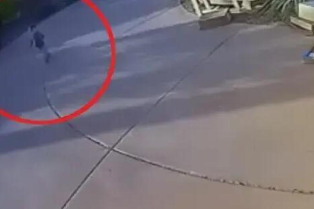 DIVLJA ZVER SE ZALETELA I ZGRABILA MALIŠANA! Kamere ZABELEŽILE DRAMATIČAN TRENUTAK, zatim usledio JOŠ VEĆI UŽAS