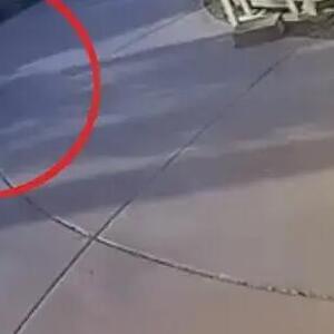 DIVLJA ZVER SE ZALETELA I ZGRABILA MALIŠANA! Kamere ZABELEŽIL DRAMATIČAN TRENUTAK, zatim usledio JOŠ VEĆI UŽAS