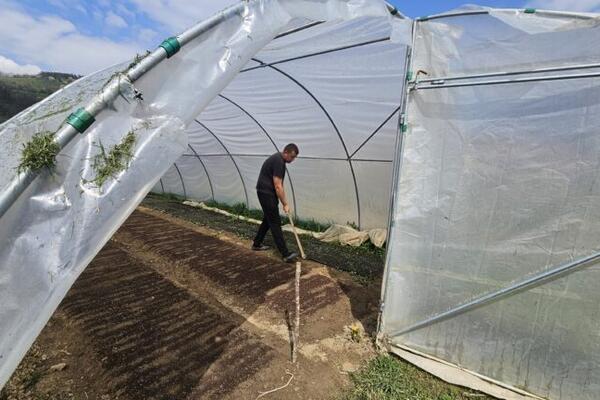 Dok svi beže u grad, Ljuba se vratio na selo: Pokrenuo biznis u Brodarevu, sada zadovoljno trlja ruke zbog para