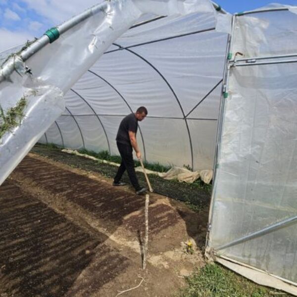 Dok svi beže u grad, Ljuba se vratio na selo: Pokrenuo biznis u Brodarevu, sada zadovoljno trlja ruke zbog para