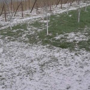 Jako olujno nevreme pogodilo ovaj srpski grad, padao grad veličine oraha: Meštani očajni, uništene im maline!