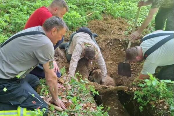 ZEMLJA PROGUTALA KOBILU I NJENOG VLASNIKA! Jahali kroz šumu, pa upali u jamu duboku preko 3 metara, nastao haos