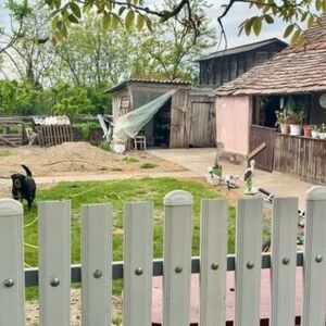 OVO JE MESTO ZLOČINA U HRTKOVCIMA GDE JE SIN SEKIROM UBIO MAMINOG DEČKA: Otkriveno i gde je otišao posle ubistva