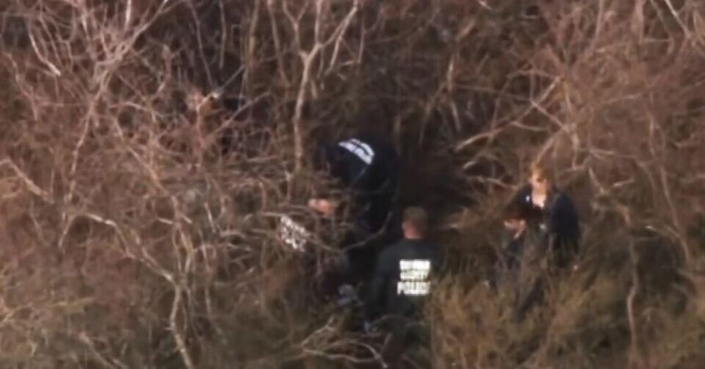 Serijski ubica sa Long Ajlanda