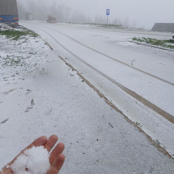 Sneg pao u ovom delu Srbije, zabelelo se kao da je januar: Meštani u strahu zbog malina (FOTO)