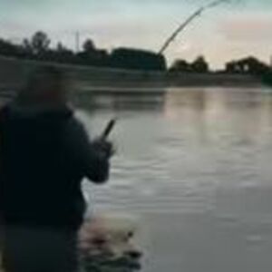 Na ovo je čekao 25 godina: Aleksandar iz Dunava upecao kapitalca od preko 30 kg - ljudi ne veruju šta je izvukao