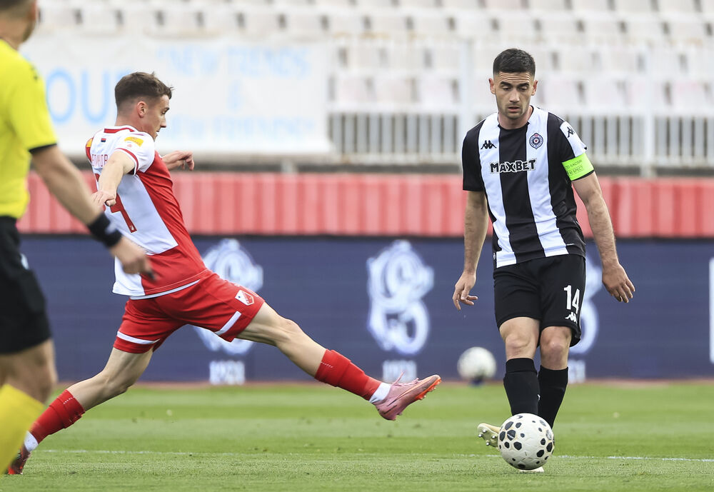Saša Zdjelar, FK Vojvodina, FK Partizan